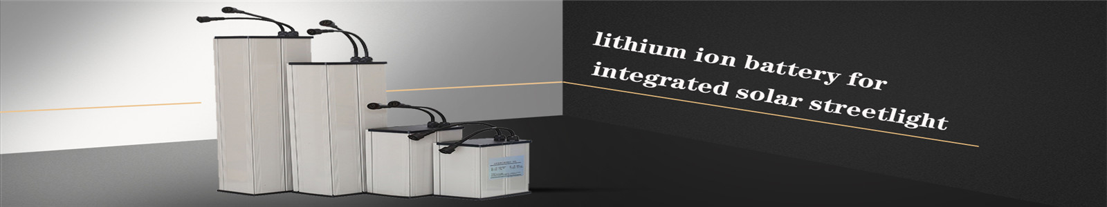 Lifepo4 Lithium Ion Battery