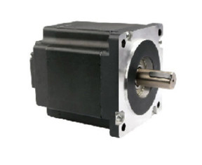 3000 RPM Brushless Dc Motor 110BLDC